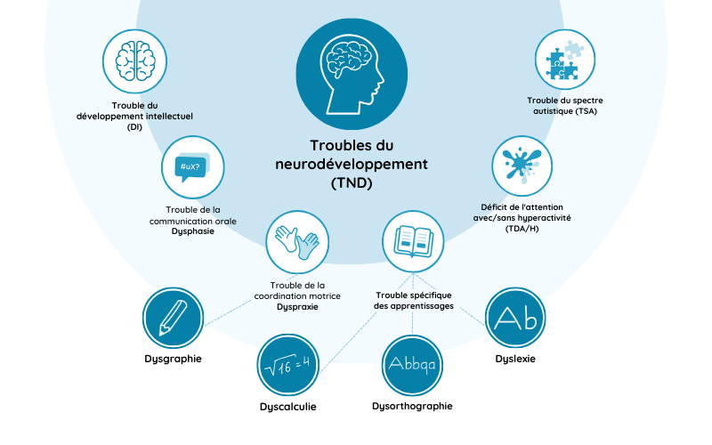 Infographie Troubles du neurodéveloppement