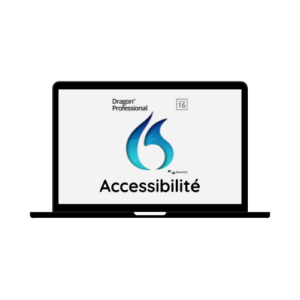 Dragon Pro 16 Accessibilite Visuel