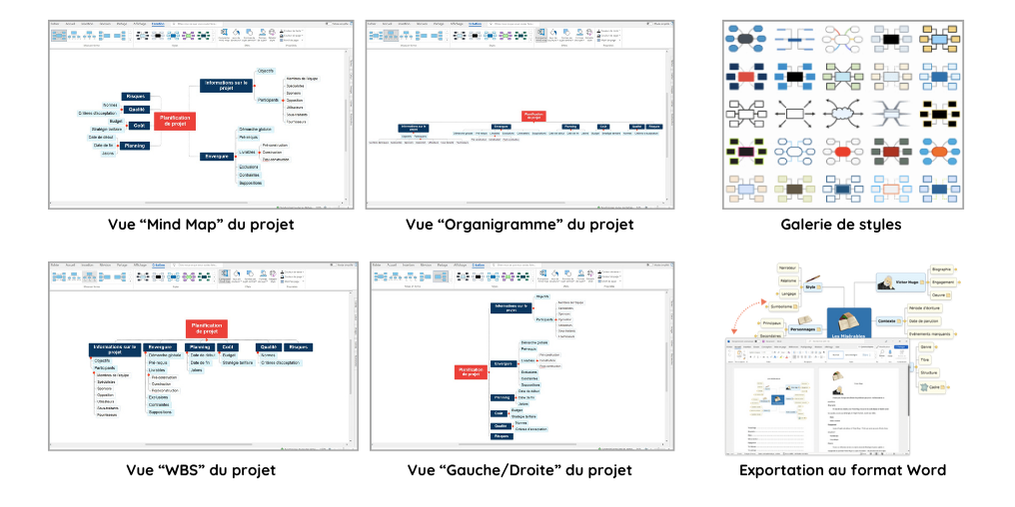 Visuel additionnel MindView - Cartographie mentale