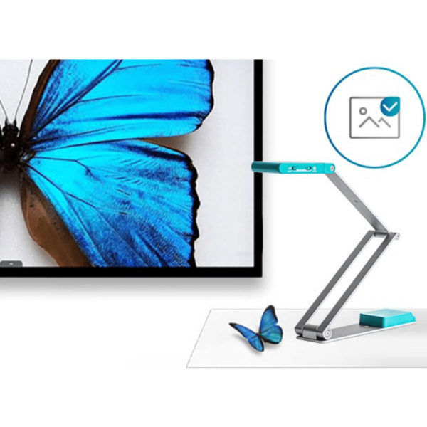 IRIScan Visualizer 7 scanne une image