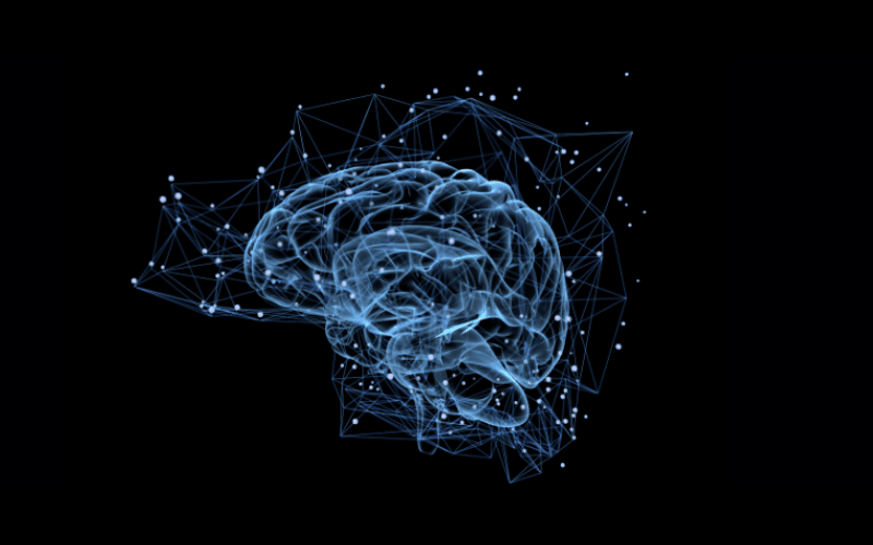 Troubles neuro-développementaux : l’approche de la neuro-imagerie fonctionnelle